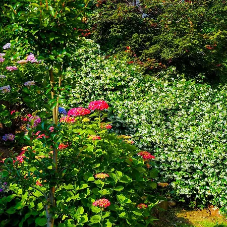 Residenza La Rocca Castello (Varese)