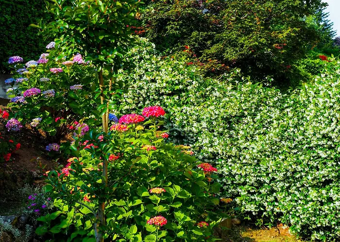 Residenza La Rocca Castello (Varese)